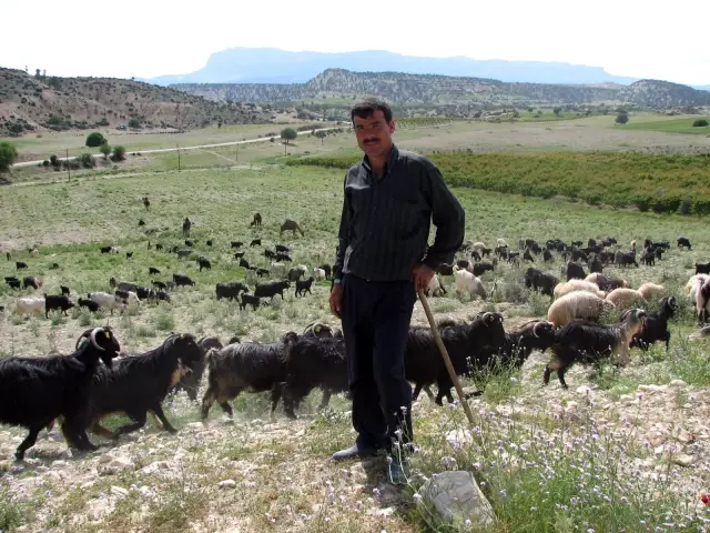 Yörüklerin Hayatının Yarısı Yollarda Geçiyor Yörüklerin Hayatının Yarısı Yollarda Geçiyor