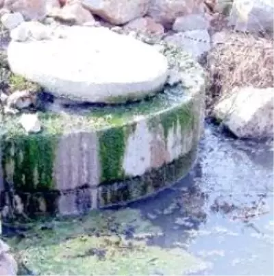 Aski'ye Kanal Suçlaması