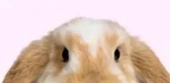 haberler com haberler com