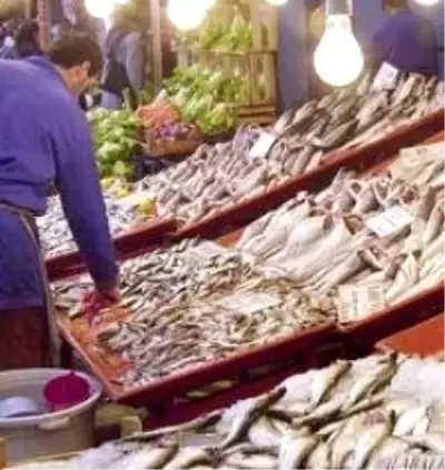 Zonguldak'ta Çinekop Bereketi Zonguldak'ta Çinekop Bereketi
