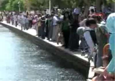 sanliurfa iki kardes balikligol e