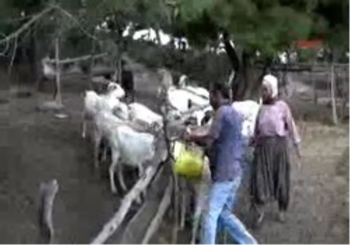 Canakkale Ben Tedavisi Doktorlari
