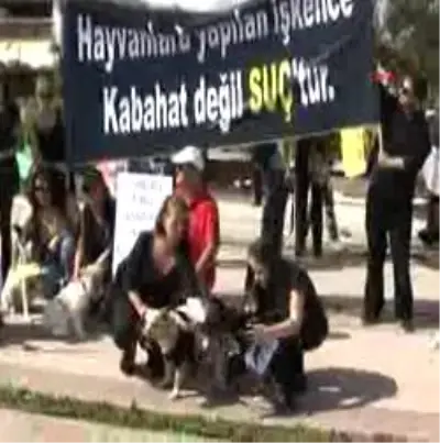 İzmir'de Kedinin Öldürülmesi, Antalya'da Protesto Edildi