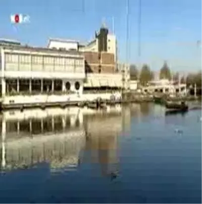 Şahin: Şahin: