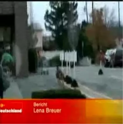 Ceylanlar Şehre İndi Ceylanlar Şehre İndi