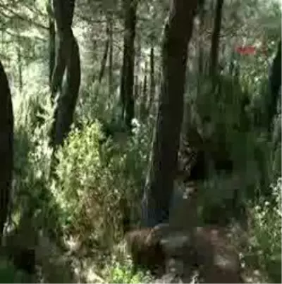 (Ek Görüntülerle) - Öfkeli Kocanın Aşık İntikamı (Ek Görüntülerle) - Öfkeli Kocanın Aşık İntikamı
