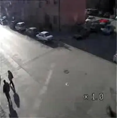 Erzincan'da Mobeseye Takılan İlginç Görüntüler