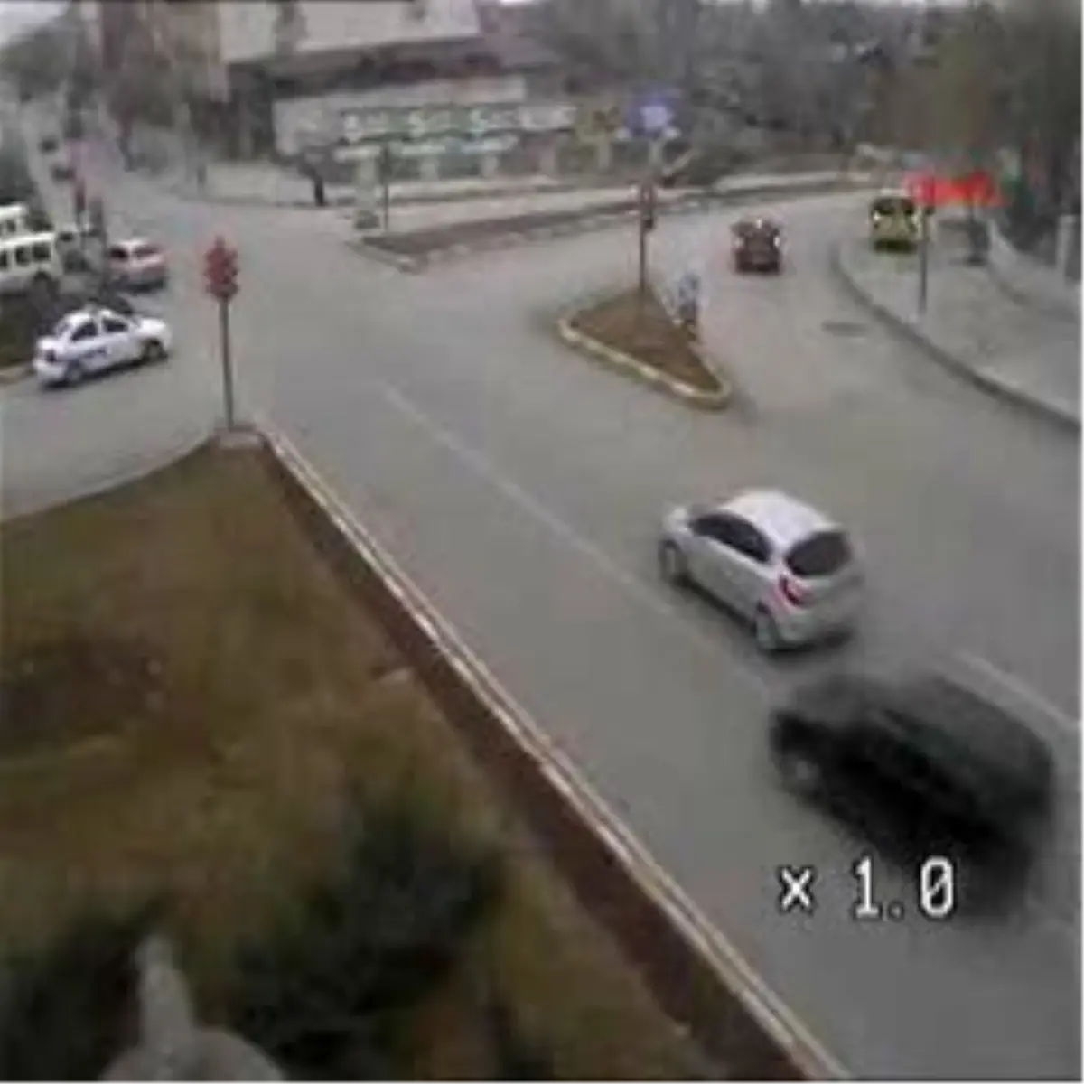 Erzincan'da Mobeseye Takılan İlginç Görüntüler