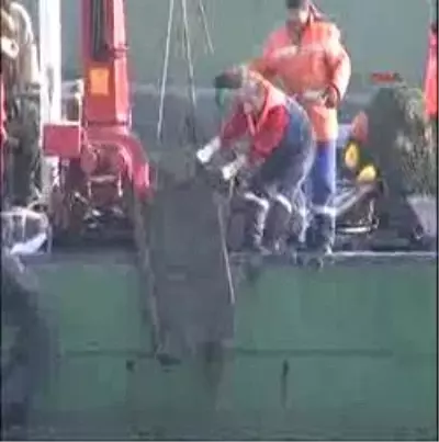 Deniz Polisinden Yine Trol Operasyonu Deniz Polisinden Yine Trol Operasyonu