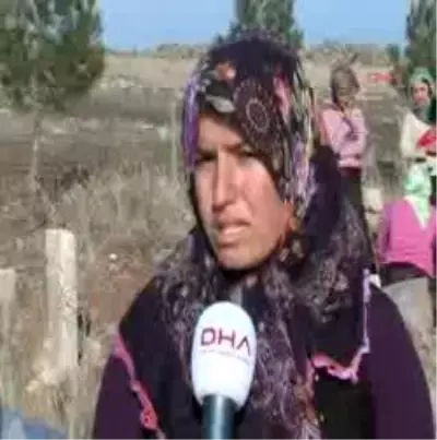7 Kız, 'Yüzde 70 Kusurlu Öldü' Diye Tazminatta İndirim Yapıldı 7 Kız, 'Yüzde 70 Kusurlu Öldü' Diye Tazminatta İndirim Yapıldı