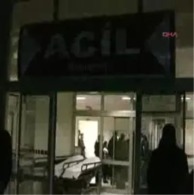 Minik Aycan'ı Köpek Isırdı Minik Aycan'ı Köpek Isırdı