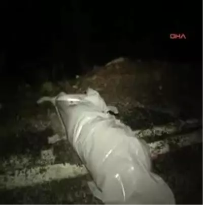 Alanya'da Trafik Kazası: 3 Ölü Alanya'da Trafik Kazası: 3 Ölü