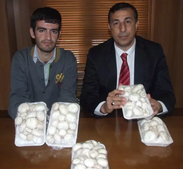 Diyarbakır�da Kadınlar Evde Mantar Üretiyor Haberler