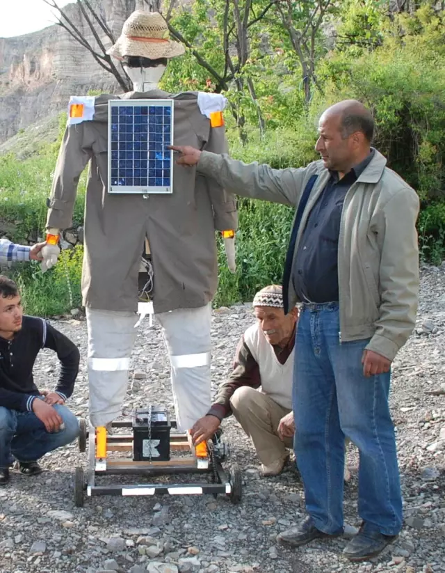 Güneş Enerjisiyle Çalışan 'Ayısavar'