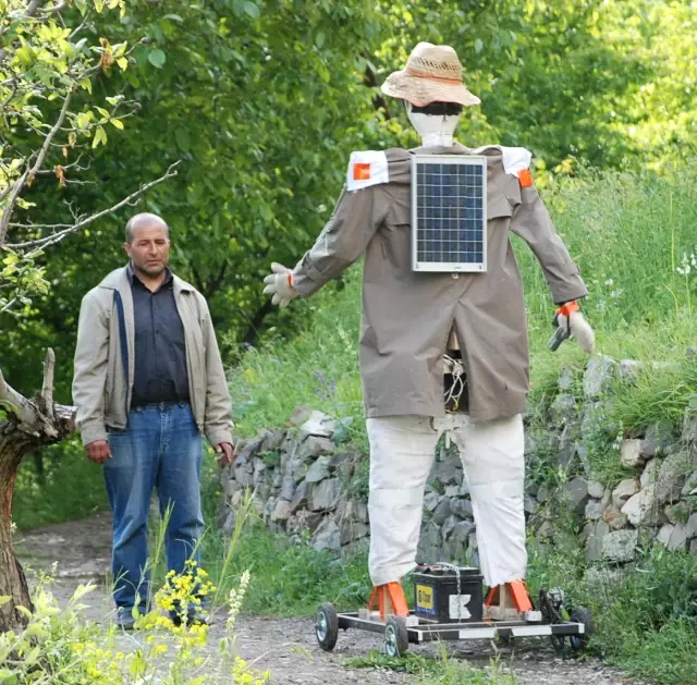 Güneş Enerjisiyle Çalışan 'Ayısavar'