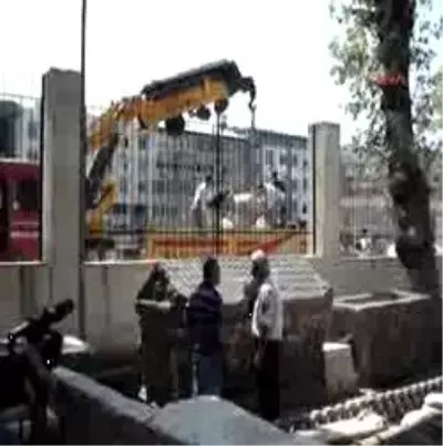 Bu Aslan 2800 Yaşında