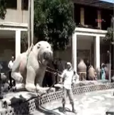 Bu Aslan 2800 Yaşında
