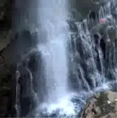 Tortum'un Suyunu Kestiler