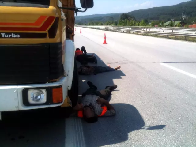 Tem'de Öğle Uykusu Tem'de Öğle Uykusu