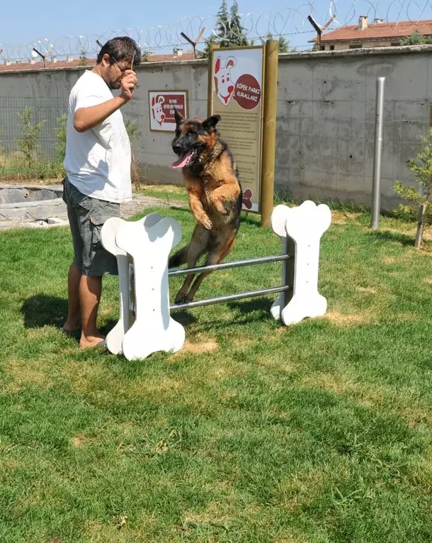 Bursa�nın İlk Köpek Parkı Açılıyor Haberler