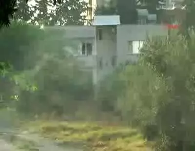 Devlet Bahceli Nin Zeytin Bahcesi Yandi Haber