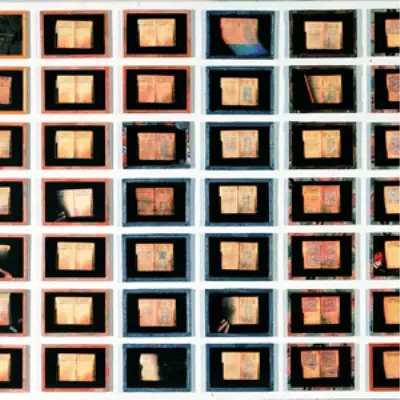 Zorlu Center, 12. İstanbul Bienali'nde Zorlu Center, 12. İstanbul Bienali'nde