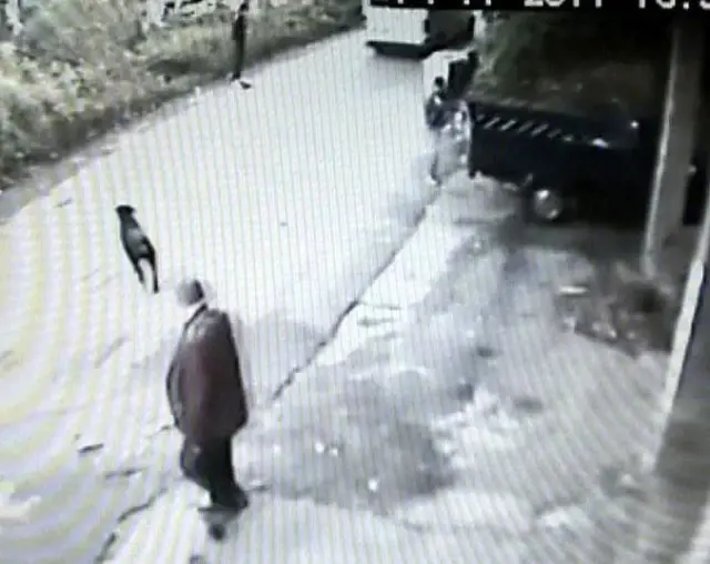 Kavgaya Rottweıler Molası