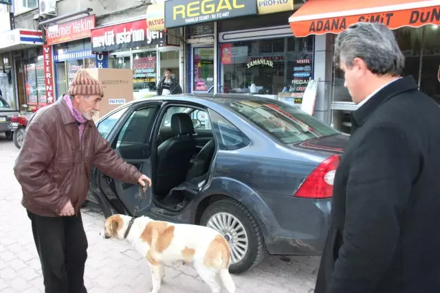 Yaralı Köpeğe 'Makam' Şefkati Yaralı Köpeğe 'Makam' Şefkati