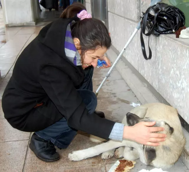 Soğukta Kıvranan Köpeği Sevgisiyle Isıttı Haber