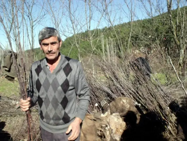 Bigadiç'te Meyvecilik Gelişiyor Bigadiç'te Meyvecilik Gelişiyor