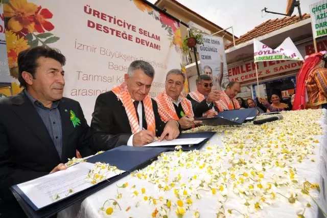 Mis Gibi Protokol