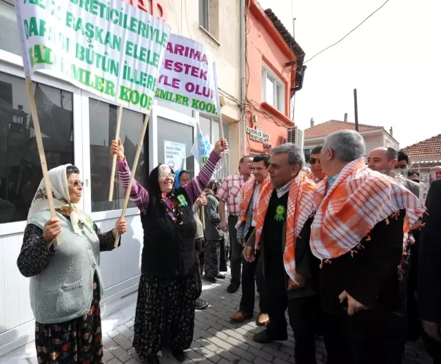 Mis Gibi Protokol