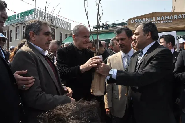 Eyüp Sultan Erguvanlarla Donatılıyor