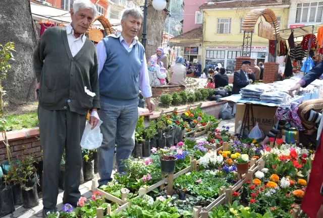 Https Www Haberler Com Havutcu Ne Kadar Alacak 3509605 Haberi Https Foto Haberler Com Haber 2012 04 04 Havutcu Ne Kadar Alacak 3509605 5616 O Jpg Https Www Haberler Com Belediye Baskani Cem Kara Gorevinin 3 Yilinda 3509606 Haberi Https