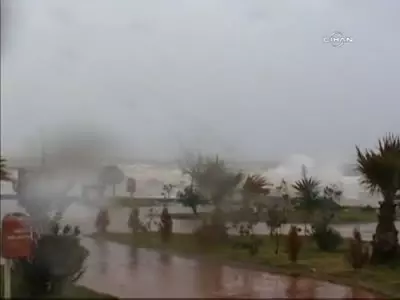 Fırtına Edremit'te Evin Üzerine Ağaç Devirdi Fırtına Edremit'te Evin Üzerine Ağaç Devirdi