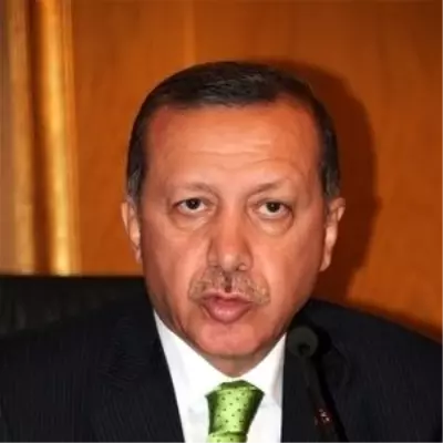 Erdoğan'dan Katainen Onuruna Yemek Erdoğan'dan Katainen Onuruna Yemek