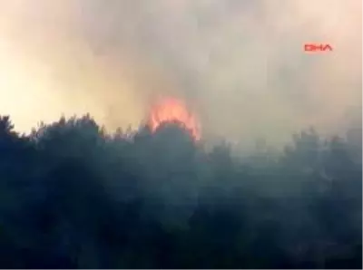 Safranbolu'da Orman Yangını