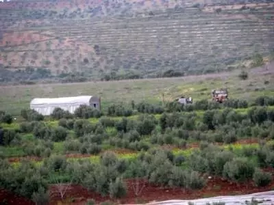 Suriye Sınırda Silah Sesleri Suriye Sınırda Silah Sesleri
