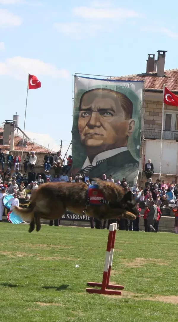 köpeklerin gözü neden akar