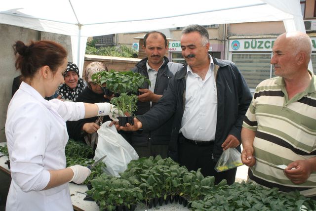 duzce ziraat odasindan fide satisi basladi