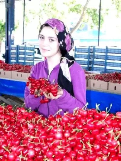 Yağmur Kirazı Çatlattı, Fiyat Düştü