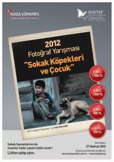 Sokak Hayvanlarına Destek