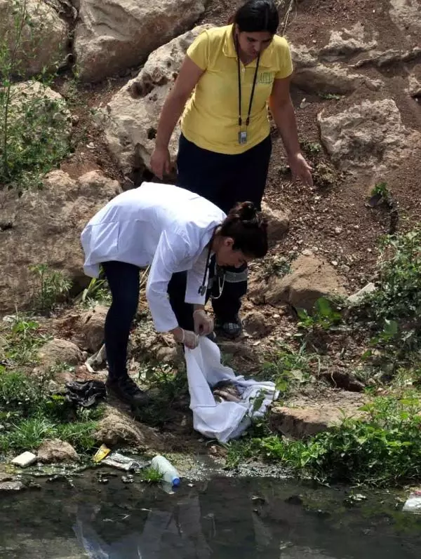 Nusaybin�de Derede 3 Aylık Bebek Cesedi Bulundu Haberler