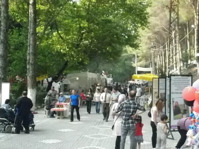 Kemalpaşa 42. Altın Kiraz Kültür ve Sanat Festivali