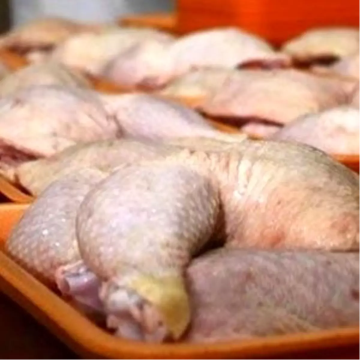 4 Ton Bozuk Tavuk Eti Ele Gecirildi Haberler 4 Ton Bozuk Tavuk Eti Ele Gecirildi Haberler