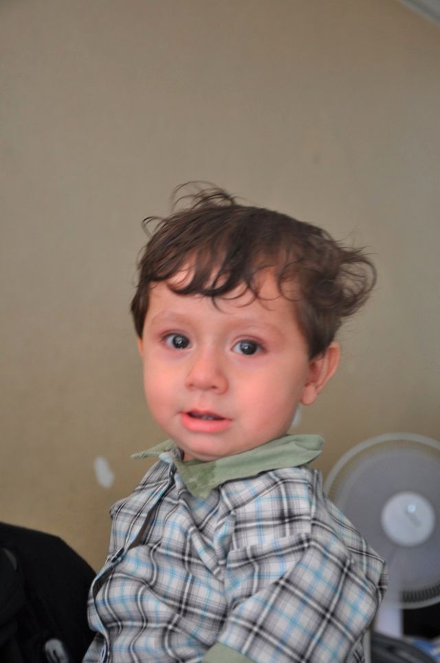 Baran Bebek Yardım Eli Bekliyor Haberler