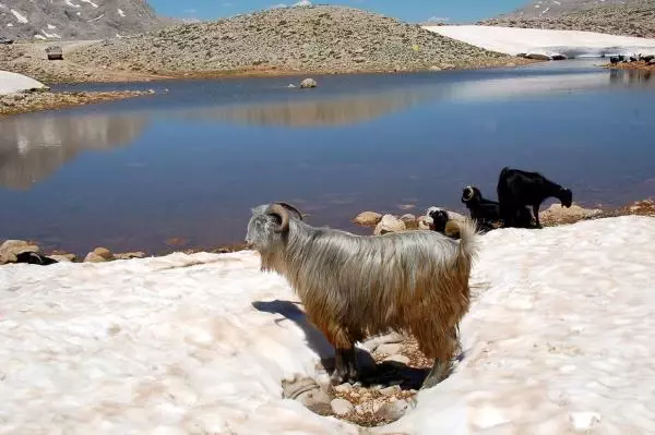 Yaylada Tablo Gibi Kar Manzarası Yaylada Tablo Gibi Kar Manzarası