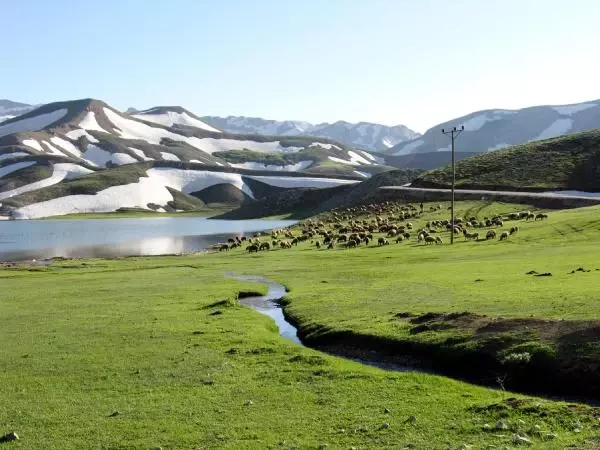 Yaylada Tablo Gibi Kar Manzarası Yaylada Tablo Gibi Kar Manzarası