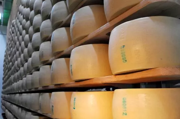 İtalya Dışında İlk Parmesan Antalya'da İtalya Dışında İlk Parmesan Antalya'da