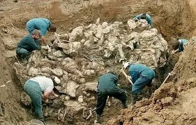 Srebrenitsa&#39;da Toplu Mezar Bulundu - Haberler